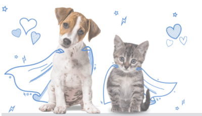 jack russell terrier puppy and silver tabby kitten wearing cape illustrations